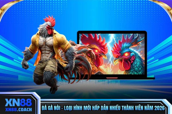 Đá Gà Nòi - Loại Hình Mới Hấp Dẫn Nhiều Thành Viên Năm 2026