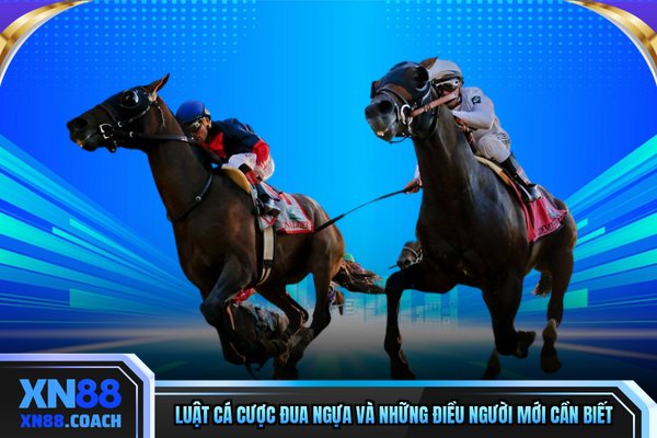 Luật Cá Cược Đua Ngựa Và Những Điều Người Mới Cần Biết