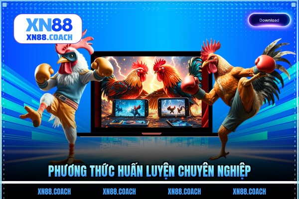 Phương thức huấn luyện chuyên nghiệp